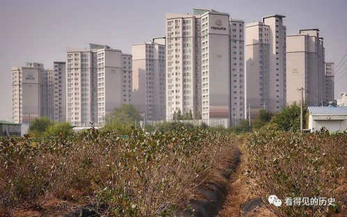 韓國漢城的房地產(chǎn)開發(fā) 如同地里莊稼一樣瘋長的房子