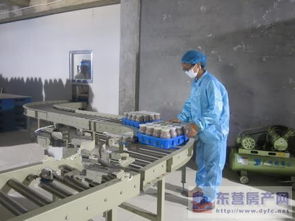 東營市產(chǎn)業(yè)雙輪驅(qū)動 食用菌產(chǎn)業(yè)發(fā)展與房地產(chǎn)開發(fā)的協(xié)同并進